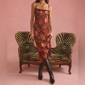 Few Moda Kourt Honora Dress Black and Orange Size 2